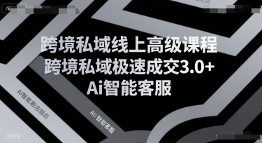 跨境私域线上高级课程，跨境私域极速成交3.0+Ai智能客服-KJ分享