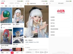 安卓小红书v8.24.0.5精简版-KJ分享