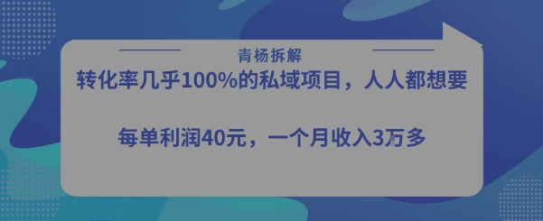 转化率最高的私域项目，每单利润40-50米，月入过1w-KJ分享