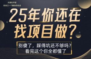 25年，你还在疯狂的找项目吗？别傻了，看完这个你都懂了-KJ分享
