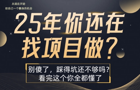 25年，你还在疯狂的找项目吗？别傻了，看完这个你都懂了-KJ分享