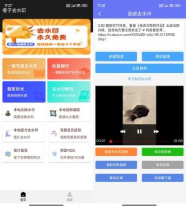 安卓橙子去水印解析多功能 v3.1.15-KJ分享