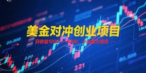 美金对冲创业项目，日收益 1000 – 4000，小众暴力项目-KJ分享