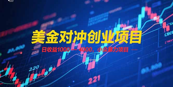 美金对冲创业项目，日收益 1000 – 4000，小众暴力项目-KJ分享