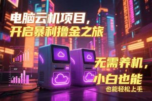 电脑云机项目 暴力撸金玩法，不需要养机 配置没有要求 单机100个窗口一…-KJ分享