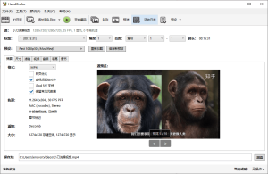 HandBrake视频转换v1.10.1绿色版-KJ分享