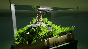 《养鱼模拟器》v00.03.24中文版-KJ分享