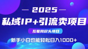 2025网创尽头项目,私域IP+引流,新手小白也能在家日入1000+-KJ分享