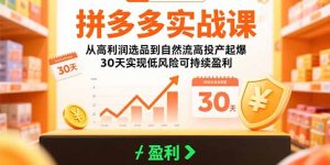 拼多多实战课：从高利润选品到自然流高投产起爆 30天实现低风险可持续盈利-KJ分享