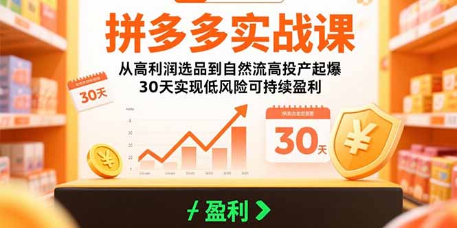 拼多多实战课：从高利润选品到自然流高投产起爆 30天实现低风险可持续盈利-KJ分享