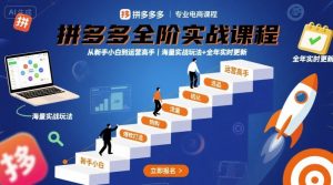 拼多多全阶实战课程,从新手小白到运营高手,海量实战玩法+全年实时更新【2025年9月更新】-KJ分享