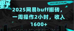 2025网易buff搬砖，一周操作2小时，收入1600+-KJ分享