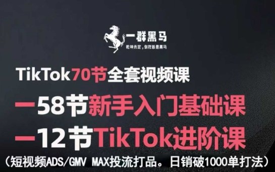 TikTok全套视频课，新手入门+进阶课，短视频ADS-GMV MAX投流打品，日销破1000单打法-KJ分享