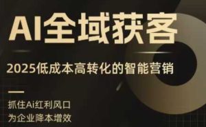 AI全域获客实训营，2025低成本高转化的智能营销，精准找客，高效营销-KJ分享