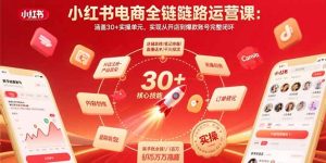 小红书电商全链路运营课:涵盖30+实操单元,实现从开店到爆款账号完整闭环-KJ分享