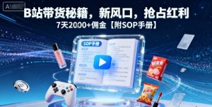 B站带货秘籍，新风口，抢占红利，7天2k+佣金【附SOP手册】-KJ分享
