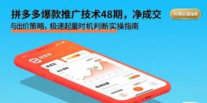 拼多多爆款推广技术48期,净成交与出价策略,极速起量时机判断实操指南-KJ分享