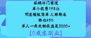 私域冷门赛道:单个收费198米引流模板简单人群精准转化45%单人一天大概收益是1k+-KJ分享