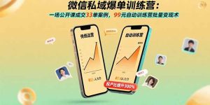 微信私域爆单训练营：一场公开课成交33单案例，99元自动训练营批量变现术-KJ分享