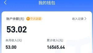 适合空闲时间操作的小红书低保项目，小红薯发布笔记，单个账号每天可获得2-12元左右-KJ分享