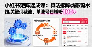 从兴趣到副业靠宠物占卜收入翻3倍一个月纯利润破W-KJ分享