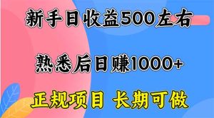 新手日收益500+ 正规项目 长期可做-KJ分享