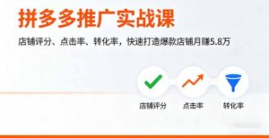 拼多多推广实战课,店铺评分、点击率、转化率,快速打造爆款店铺月赚5.8万-KJ分享