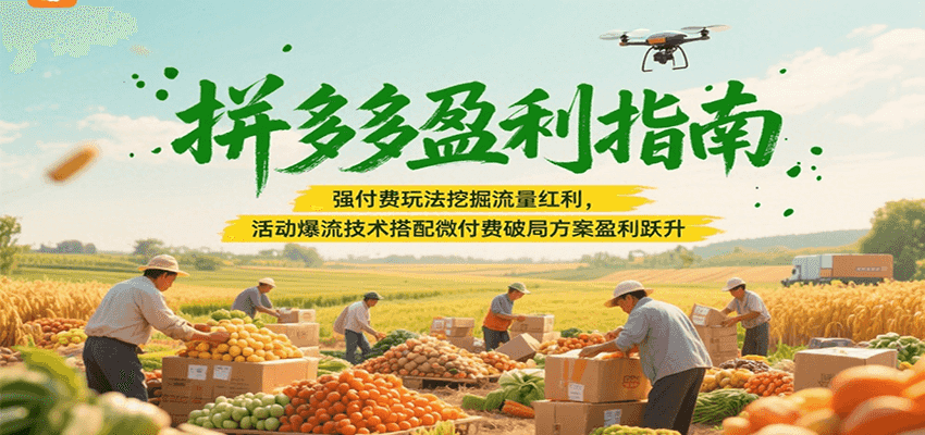 拼多多盈利指南：强付费玩法挖掘流量红利，活动爆流技术搭配微付费方案实现盈利跃升-KJ分享