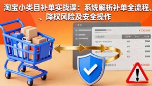 淘宝小类目补单实战课:系统解析补单全流程、降权风险及安全操作-KJ分享