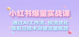 小红书爆量实战课,通过AI工作流、投流优化等前沿技术突破流量瓶颈-KJ分享