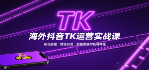 海外抖音TK运营实战课：账号搭建、精准引流、剪辑带货与私域转化-KJ分享