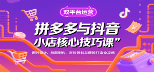 拼多多与抖音小店核心技巧课，图片设计、标题制作、定价规划与爆款打造全攻略-KJ分享