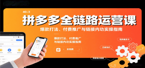 拼多多全链路运营课，爆款打法、付费推广与链接内功实操指南-KJ分享