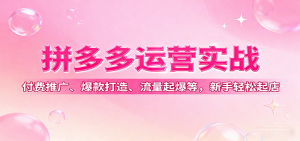拼多多运营实战，付费推广、爆款打造、流量起爆等，新手轻松起店-KJ分享