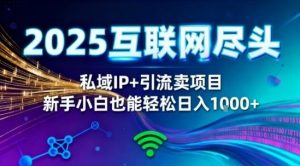 2025网创尽头王炸项目！私域IP+精准引流，新手小白在家躺賺日入1k，零经验也能上手-KJ分享