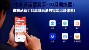 拼多多运营高手-10月训练营：讲解从新手到高阶玩法的完整运营体系！-KJ分享