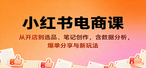 小红书电商课：从开店到选品、笔记创作，含数据分析，爆单分享与新玩法-KJ分享