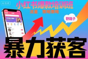 小红书爆款培训班,小红书获客野路子流量打法,暴力持续获客-KJ分享