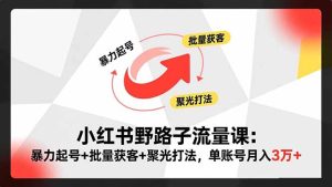 小红书野路子流量课:暴力起号+批量获客+聚光打法,单账号月入3万+-KJ分享