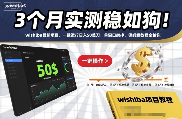 3个月实测稳如狗！wishlba最新项目，一键运行日入50美刀，单窗口躺挣，保姆级教程全给你-KJ分享
