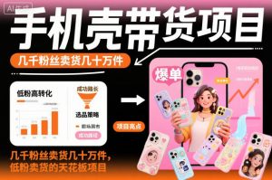 手机壳带货项目，几千粉丝卖货几十万件，短视频低粉卖货的天花板项目-KJ分享
