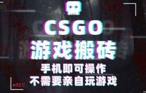 CSGO游戏挂机捡漏,单日扫货500+,年底小高峰上车可吃肉,手机即可操作兼职副业-KJ分享