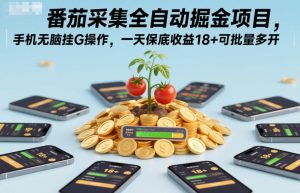 番茄采集全自动掘金项目，手机无脑挂G操作，一天保底收益18+可批量多开-KJ分享