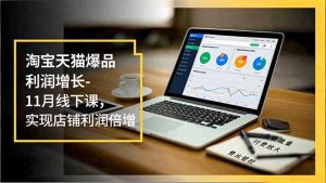 淘宝天猫爆品利润增长-11月线下课,免费流量、付费放大、费比管控,实现店铺利润倍增-KJ分享