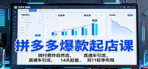 拼多多爆款起店课：微付费炸自然流，直通车引流，14天起量，双11旺季布局-KJ分享