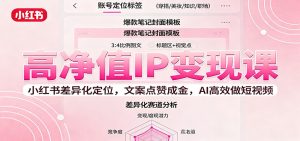 高净值IP变现课：小红书差异化定位，文案点赞成金， AI高效做短视频-KJ分享