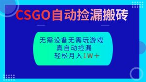 CSGO自动捡漏搬砖，当天操作当天见结果，无需了解游戏，包教包会包落地-KJ分享