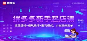 拼多多新手起店课：底层逻辑+避坑技巧+盈利模式，小白高效出单-KJ分享
