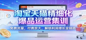 淘宝天猫精细化爆品运营集训:免费流量,付费放大,解锁利润增长全链路-KJ分享