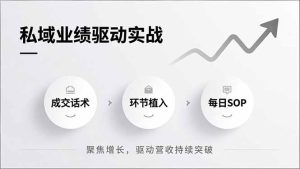 私域业绩驱动实战,成交话术、环节植入、每日SOP,聚焦增长,驱动营收持续突破-KJ分享